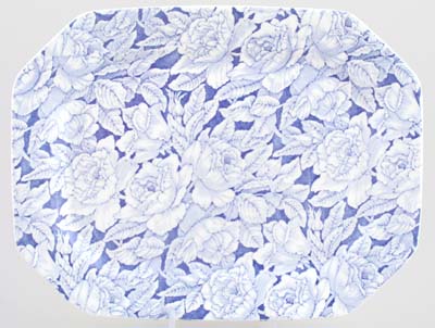 Meat Dish or Platter rectangular large